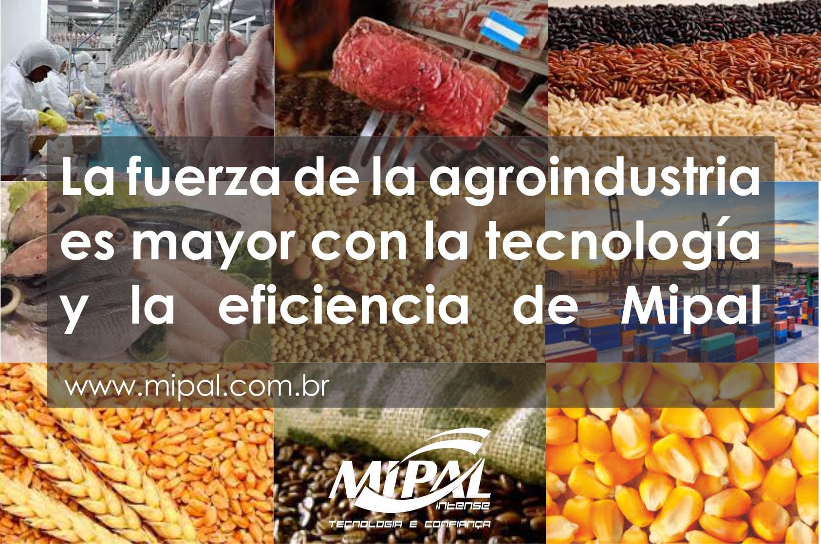 Mipal La fuerza de la agroindustria es mayor con la tecnología y la ...